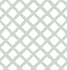 Papel de Parede Treliça Verde  2,80 x 0,45 m