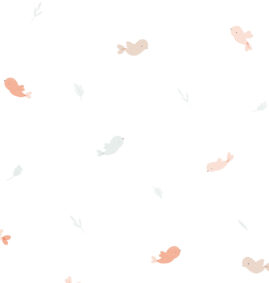 Papel de Parede Passarinhos Coral e Menta 2,80 x 0,45 m