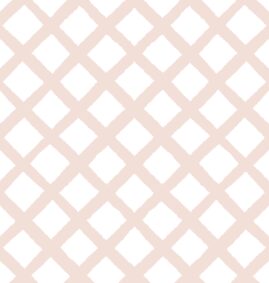 Papel de Parede Treliça Rosa  2,80 x 0,45 m