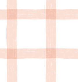 Papel de Parede Vichy G Salmão 2,80 x 0,45 m