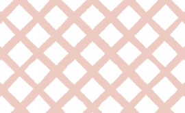 Papel de parede Treliça Rose – Maracujá – Rolo 2,80 x 0,45 m